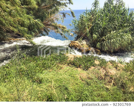 rock overlooking the sea. plants, bushes and grasses on top of the mountain. greenery in a tropical country. corner with plants on a high mountain by the sea rock overlooking the sea. plants, bushes and grasses on top of the mountain. greenery in a tropical country. corner with plants on a high mountain by the sea 92301769