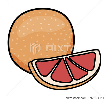 Doodle cartoon whole and slice of grapefruit fruit. For menu, farmers market design, cocktail making process illustration, cookbook decoration etc. Doodle cartoon whole and slice of grapefruit fruit. For menu, farmers market design, cocktail making process illustration, cookbook decoration etc. 92304441