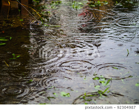 雨漣漪和水坑 雨漣漪和水坑 92304987