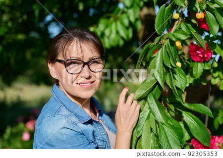 Middle aged woman picking yellow cherries in the garden 92305353
