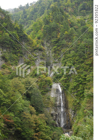 Hakusan Shirakawago White Road "Shiritaka no Taki" 92305822