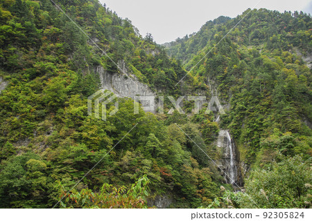 白山白川鄉白路“Shiritaka no Taki” 白山白川鄉白路“Shiritaka no Taki” 92305824