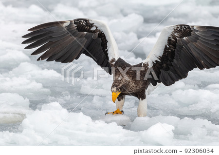 知床冬天 92306034