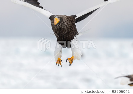 Shiretoko winter 92306041