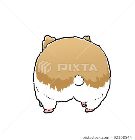 倉鼠屁股 倉鼠屁股 92308544