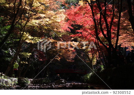 Oguni Shrine in late autumn 92308552