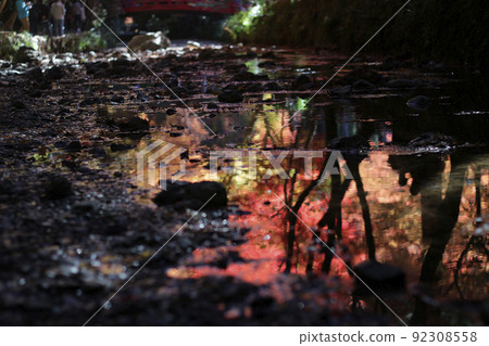 小國神社在深秋 小國神社在深秋 92308558