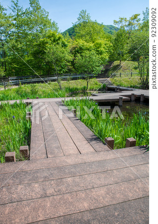 Okushima Lake Lakeside Waterside Seseragi Park Fresh Green Season 92309092