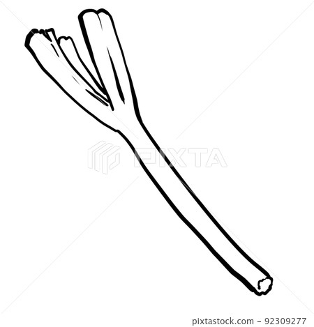 Simple long onion line drawing 92309277