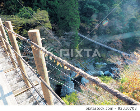 Momigi Suspension Bridge: View the Shakunage Bridge from Ayatori Bridge, Momigi, Izumimachi, Yatsushiro City, Kumamoto Prefecture Momigi Suspension Bridge: View the Shakunage Bridge from Ayatori Bridge, Momigi, Izumimachi, Yatsushiro City, Kumamoto Prefecture 92310708
