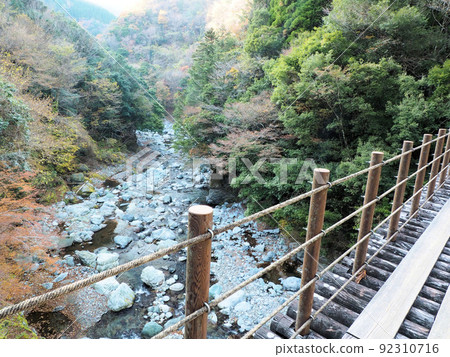 Momigi Suspension Bridge, Shakunage Bridge, Momigi, Izumimachi, Yatsushiro City, Kumamoto Prefecture Momigi Suspension Bridge, Shakunage Bridge, Momigi, Izumimachi, Yatsushiro City, Kumamoto Prefecture 92310716