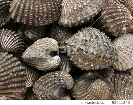 Close up view of the fried egg on a frying pan 92311240