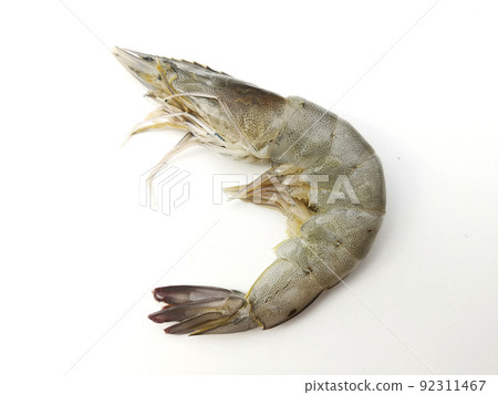 Fresh shrimp on white background close up shot.Nature fresh seafood Fresh shrimp on white background close up shot.Nature fresh seafood 92311467