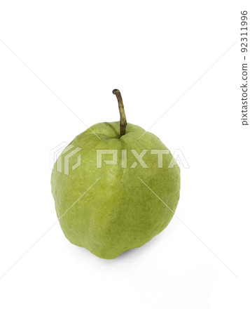 Guava fruit isolated on white background. Guava fruit isolated on white background. 92311996