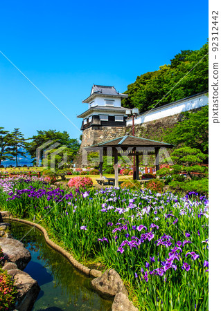 Iris in Omura Park [Omura City, Nagasaki Prefecture] 92312442