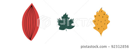 Fall leaf icon vector illustration. Hand drawn colorful design. Isolated graphic Fall leaf icon vector illustration. Hand drawn colorful design. Isolated graphic 92312856