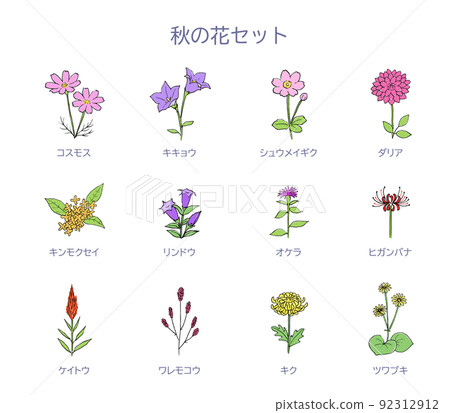 Autumn flower illustration set 92312912