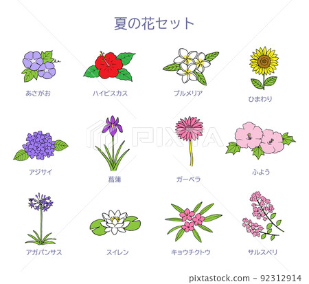 夏季花卉插圖集 92312914