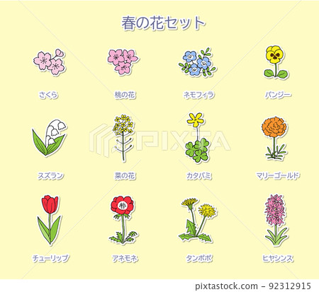 Spring flower illustration set white edge Spring flower illustration set white edge 92312915
