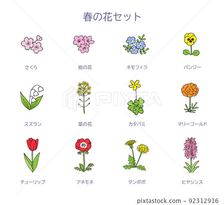 Spring flower illustration set Spring flower illustration set 92312916