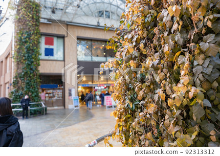 Korona-ka, a little lonely, shopping street Korona-ka, a little lonely, shopping street 92313312