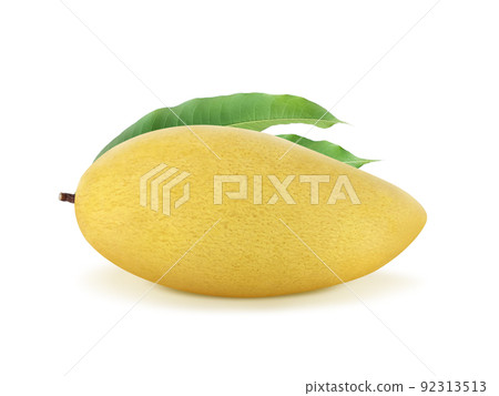 Golden yellow ripe mango fruit isolate on white background 92313513