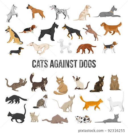 Breed Set Of Dogs And Cats 92316255