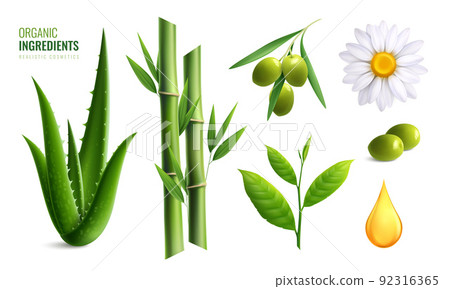 Colored Realistic Organic Cosmetics Ingredients Icon Set 92316365