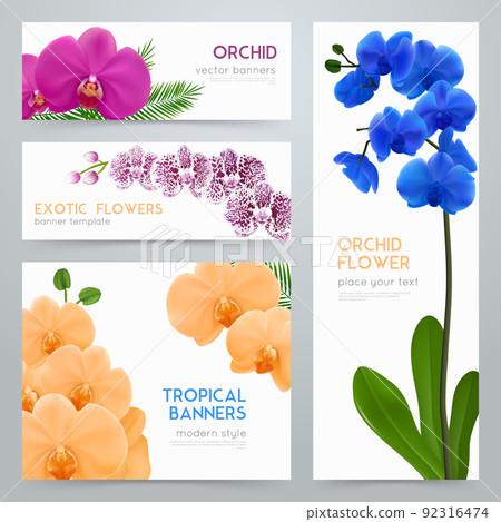 Blooming Orchids Realistic banners Set Blooming Orchids Realistic banners Set 92316474