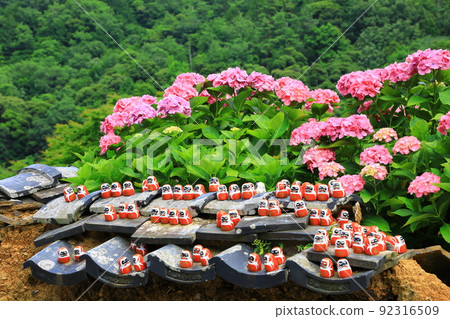 Katsuo-ji Temple: Hydrangea in full bloom and Dharma doll 92316509