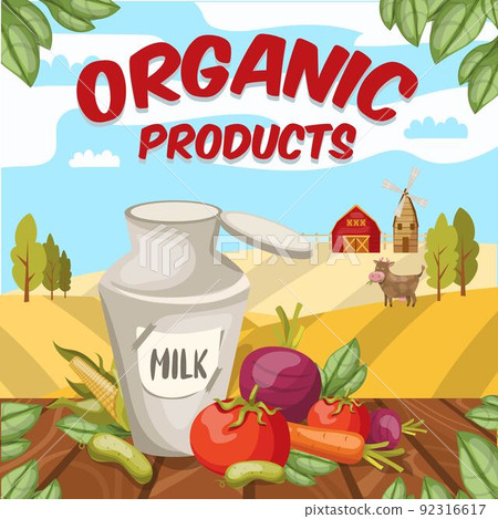 Farm Organic Vegetables Background 92316617