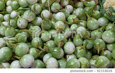 Thai Food eggplant Solanum virginianum background 92318026