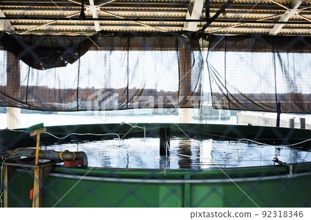 Fishing port cage 92318346