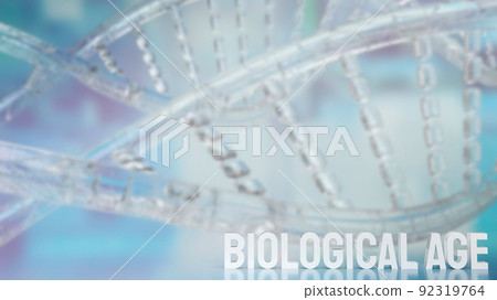 The biological age on dna background for sci or medical concept 3d rendering The biological age on dna background for sci or medical concept 3d rendering 92319764