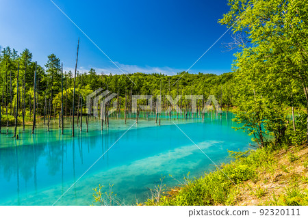 A blue pond in Biei, Hokkaido. Early summer June A blue pond in Biei, Hokkaido. Early summer June 92320111