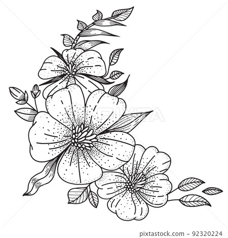 Line Detail Flowers - Stock Illustration [92320224] - PIXTA