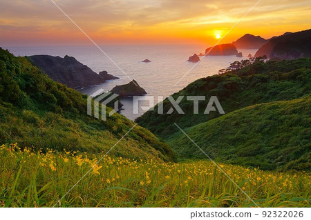 Yuusuge開花的Okuishi Corridor Yuusuge公園的夜景Ver2 92322026