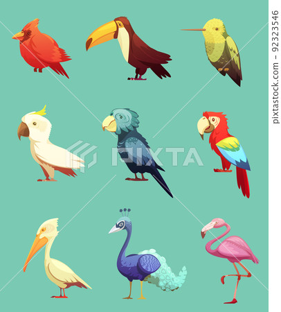 Exotic Tropical Birds Retro Icons Set 92323546