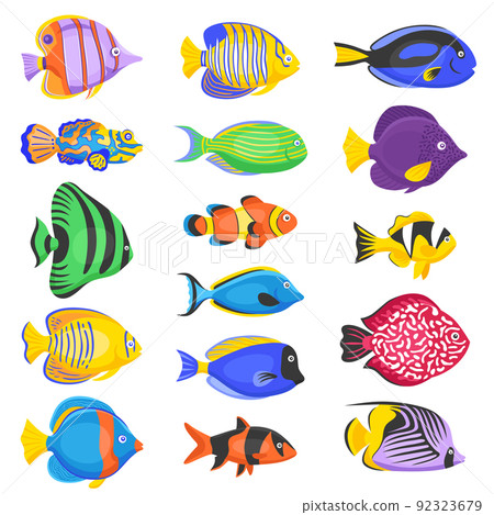 Exotic Fish Set 92323679