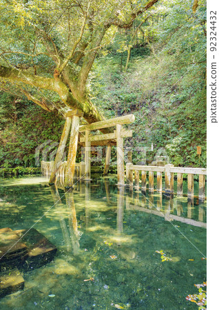 茨城縣鹿島神宮御手洗池 92324432