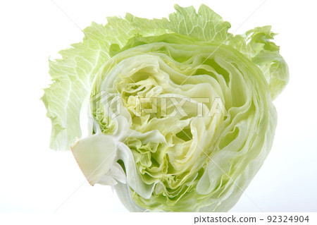 生菜白色背景 92324904