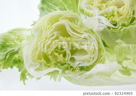 Lettuce white background 92324905