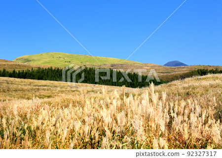 Autumn leaves of walnuts in the Kirigamine plateau and pond Autumn leaves of walnuts in the Kirigamine plateau and pond 92327317