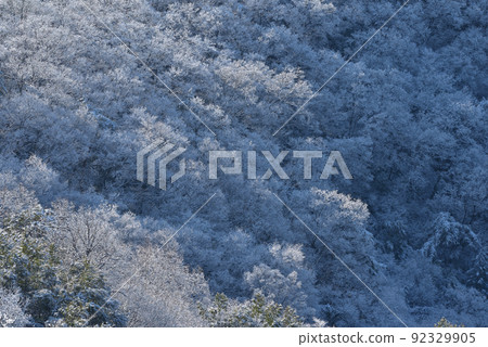 大小山雪景，山坡霧凇林 92329905