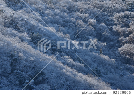 Snow scene of large and small mountains, forest of rime on the hillside 92329906