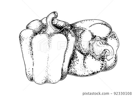 Pepper isolated on white background in woodcut style. Sketch of sweet paprika, vegetables, healthy food and spices. Two peppers on the table, vector illustration. Pepper isolated on white background in woodcut style. Sketch of sweet paprika, vegetables, healthy food and spices. Two peppers on the table, vector illustration. 92330108