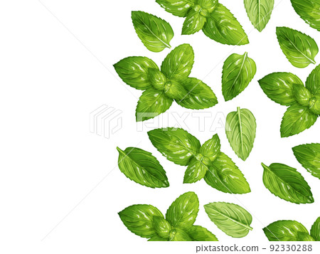 Rectangular Peppermint Hand drawn watercolor peppermint illustration... - Stock Illustration ...