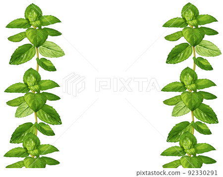 Rectangular Peppermint Hand-painted watercolor peppermint illustration... - Stock Illustration ...