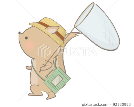 Illustration of a squirrel squirrel 92330993