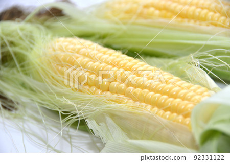 Two freshly picked corn Two freshly picked corn 92331122